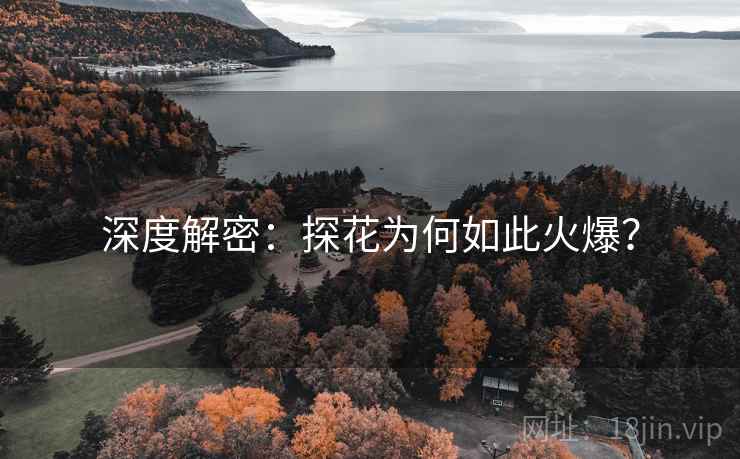 深度解密：探花为何如此火爆？