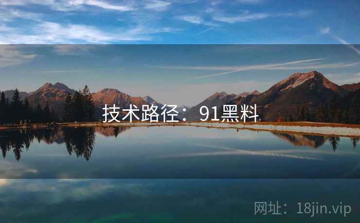 技术路径：91黑料