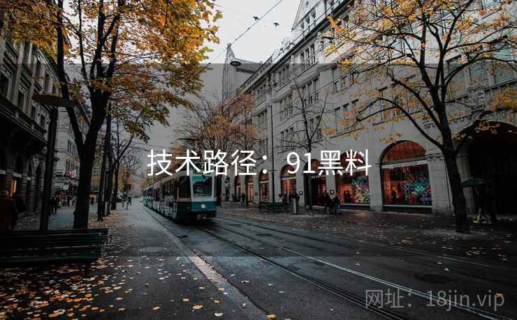 技术路径：91黑料