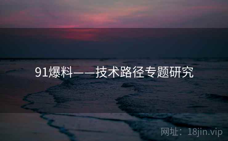 91爆料——技术路径专题研究