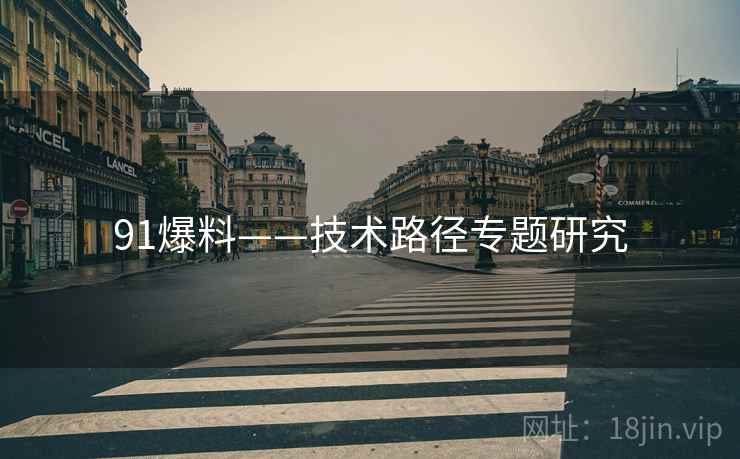 91爆料——技术路径专题研究