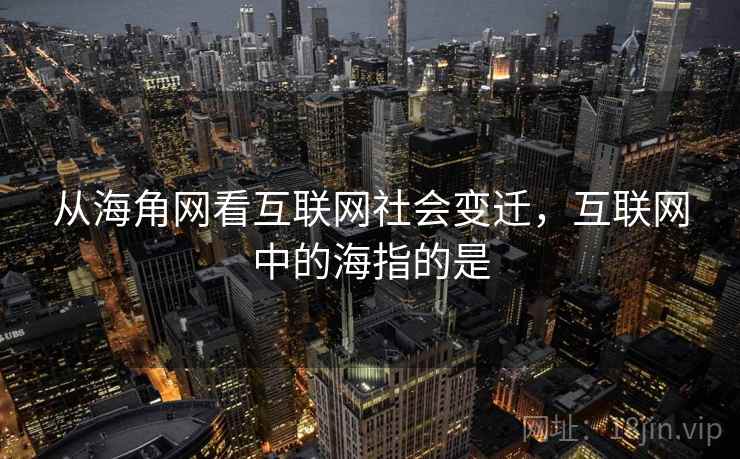 从海角网看互联网社会变迁，互联网中的海指的是