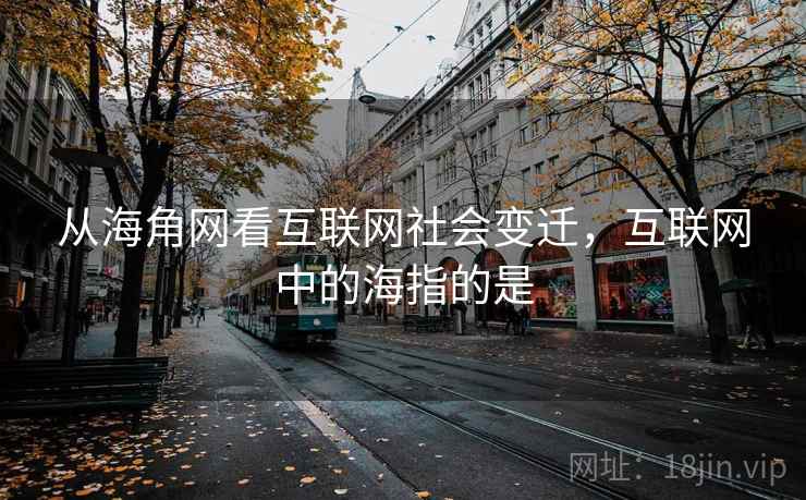 从海角网看互联网社会变迁，互联网中的海指的是