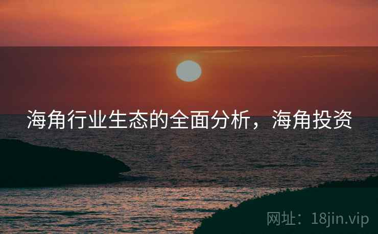 海角行业生态的全面分析，海角投资