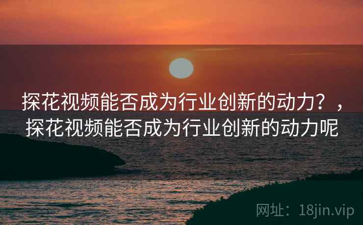 探花视频能否成为行业创新的动力？，探花视频能否成为行业创新的动力呢