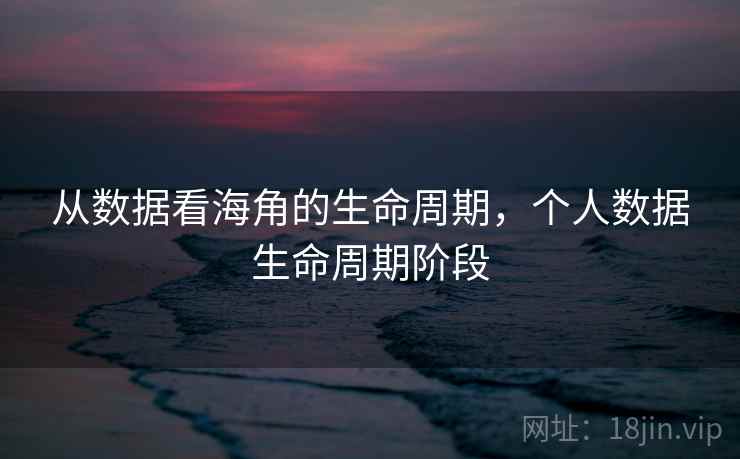 从数据看海角的生命周期，个人数据生命周期阶段