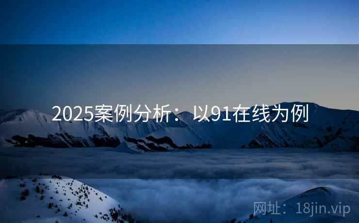 2025案例分析：以91在线为例