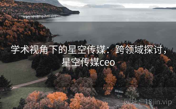 学术视角下的星空传媒：跨领域探讨，星空传媒ceo