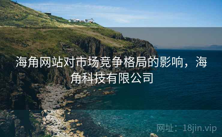 海角网站对市场竞争格局的影响，海角科技有限公司